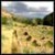 Bandelier landscape