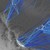 PNAS Icon