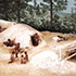 Archaeology Southwest Magazine, Vol. 27 No. 4