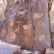 Quail Point Petroglyph -- icon