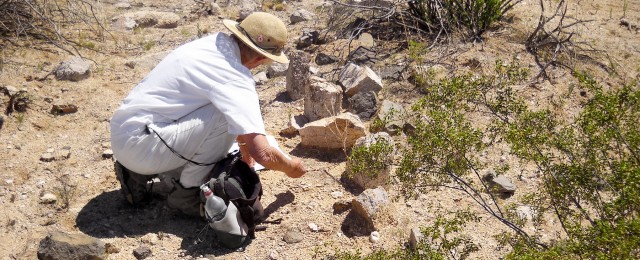 Volunteering at Archaeology Southwest
