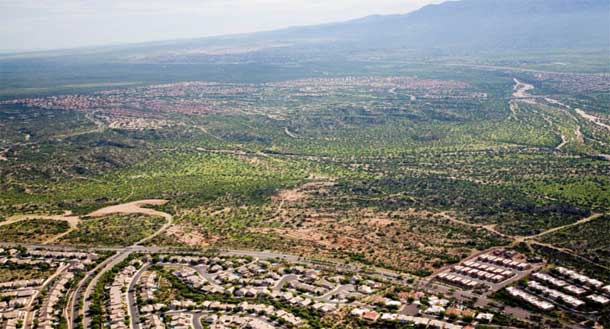 The site of Honey Bee Village in 2004.