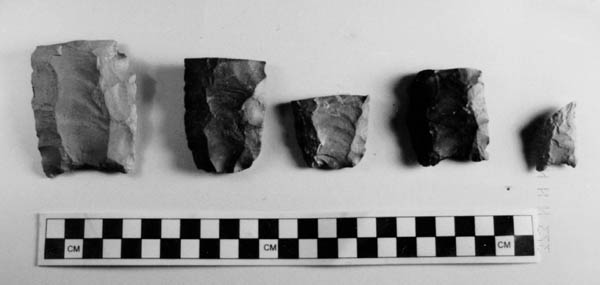 Clovis point fragments from El Bajío. Photograph by John Carpenter.
