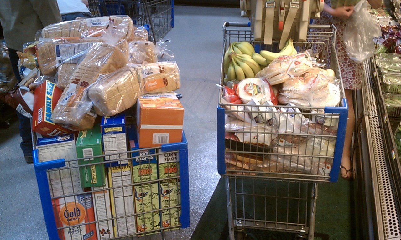 Two of three carts, which we hope will feed us for a week.