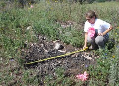 Deb Huntley measuring a burned packrat midden. Deb Huntley measuring a burned packrat midden.
