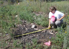 Deb Huntley measuring a burned packrat midden.