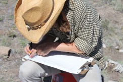 Lindsey, one of our volunteers, draws a wall segment map at Fornholt in 2010.