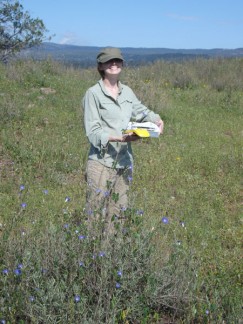 Katherine Dungan uses the Trimble GPS to record transect locations.