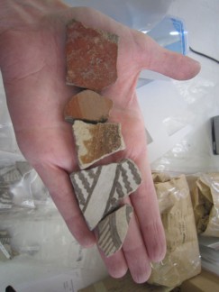 Pottery from the Late Pithouse period found at Gamalstad. From left to right and in chronological order: San Francisco Red, Mogollon Red-on-brown, Three Circle Red-on-white, Mimbres Black-on-white Style I, Mimbres Black-on-white Style II. Click to enlarge.