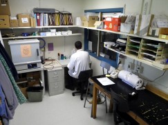 Student assistant working in the sample preparation lab at MURR (image courtesy Jeff Ferguson).