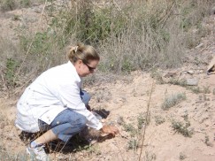 Deb Huntley collecting clay samples for compositional analysis.
