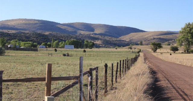 We were so busy working during the strategic planning retreat, we didn’t even manage to take a group photo. So, enjoy this “looking ahead”-themed image by Linda Pierce, taken in Mule Creek, New Mexico, instead!