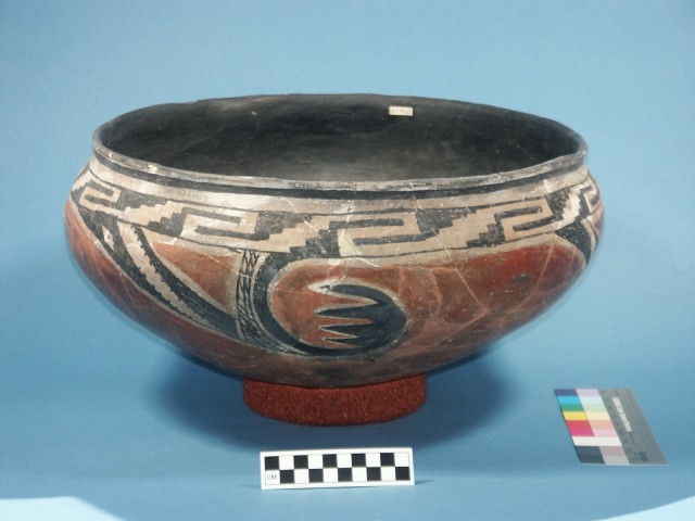 Dinwiddie Polychrome bowl from the Mills collection at Eastern Arizona College.