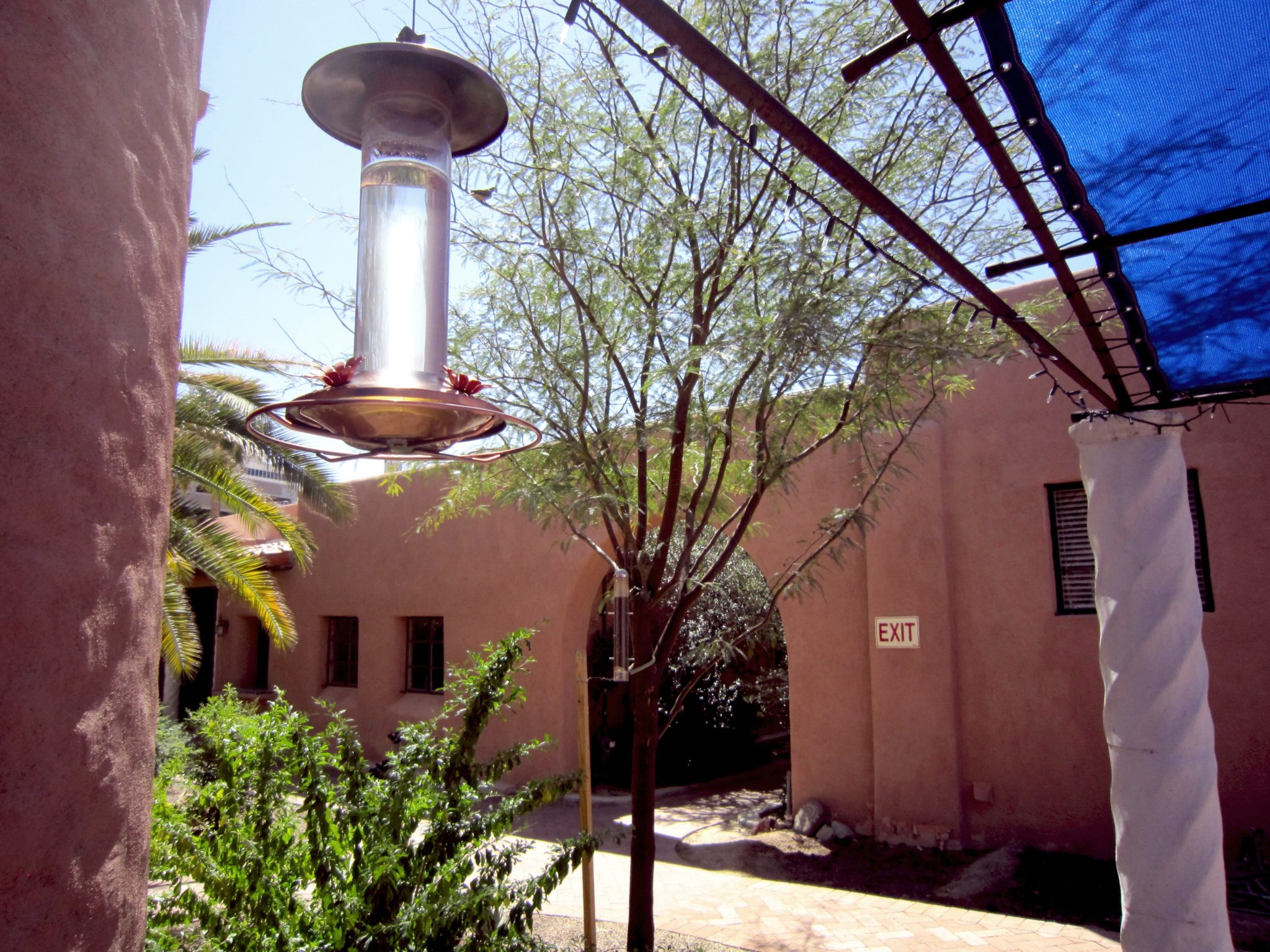 The courtyard of our Tucson office.