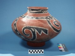 Photo 1: Tonto Polychrome jar with black and white serpent imagery; note the coiled tail (left) and plumed head (right). From the Mills collection at Eastern Arizona College.