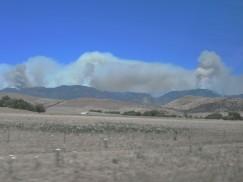 Arriving in Mule Creek