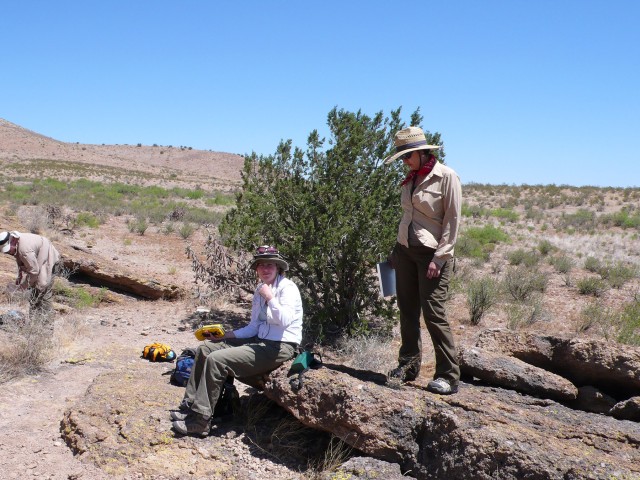 Members of Gilman’s survey team (David O’Neal, Ali Livesay, and Fabiola Silva) taking a break in the basin and range environment of the western Mimbres, beyond the Mimbres Valley.