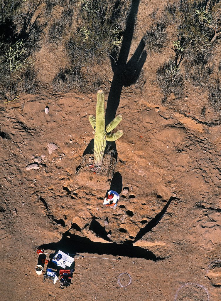 Archaeologist and Saguaro in Excavated Pithouse, © Adriel Heisey