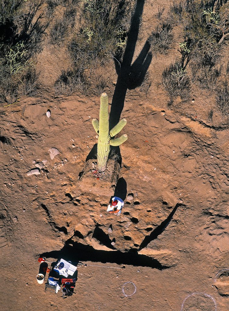 Archaeologist and Saguaro in Excavated Pithouse