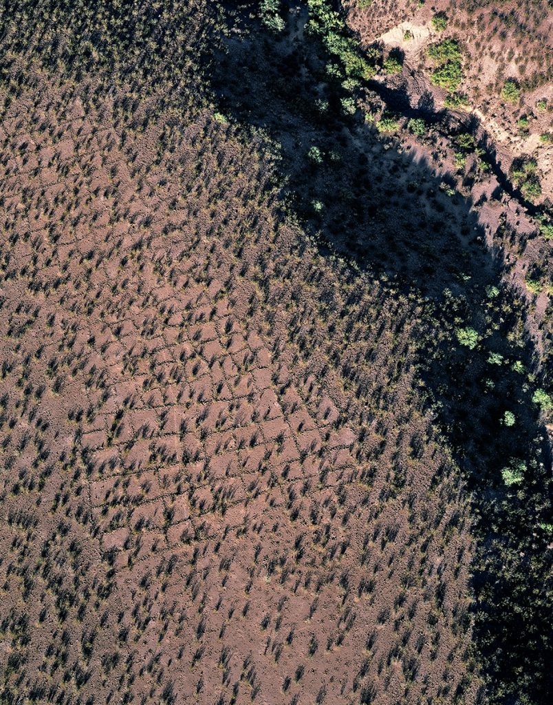 Gridded Gardens above Desert Wash