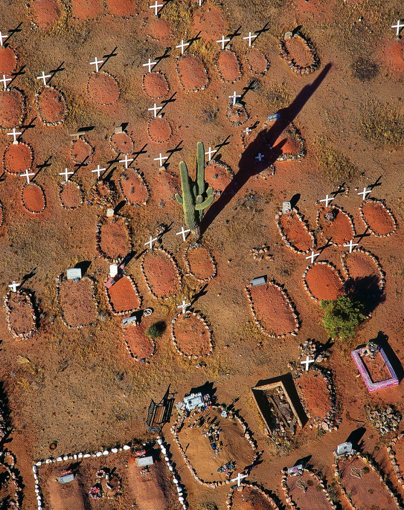 Saguaros in Cemetery