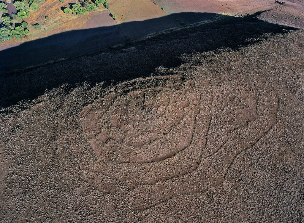 Stone Terraces on Summit with Livestock