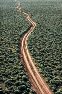 Road through Sage. © Adriel Heisey