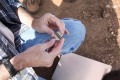 Sherd Inspection