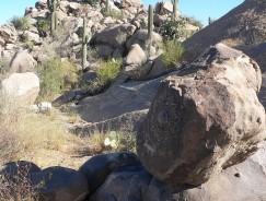 Petroglyph Panel at Sutherland Wash Rock Art District