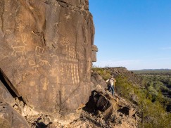 Petroglyph Panel at Gila Bend