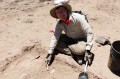 Thatcher brushing soil