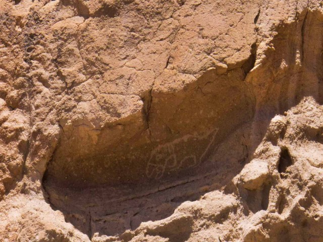 Macaw petroglyph on the main trail at Bandelier National Monument.