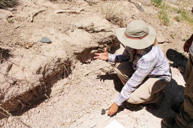 Deb Huntley pointing out a clay source eroding from the banks of Duck Creek.