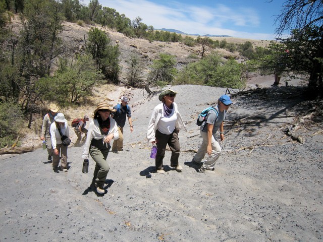 Preservation Archaeology Field School students on a tour of the Mule Creek obsidian source. Note the marakenites (obsidian nodules) at their feet.