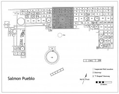 Map of Salmon Pueblo with Tower Kiva block shaded. Note room 62 to the lower left in that block. Click to enlarge.