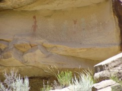 Incredible Fremont pictographs near Range Creek, Utah. These unique figures are painted in up to three colors for each individual figure. Photo by Matt Peeples. Click to enlarge.