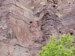 Fremont farmers often built granaries to store food away from their residences, hidden along canyon walls or in quite inaccessible places. Photo by Matt Peeples. Click to enlarge.