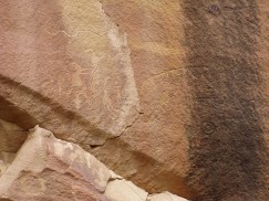 Wonderful petroglyphs showing animals, geometric designs, people, and other objects or beings are found throughout the Range Creek area. Photo by Matt Peeples. Click to enlarge.