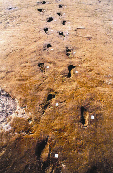 Footprints outside Avellino Eruption