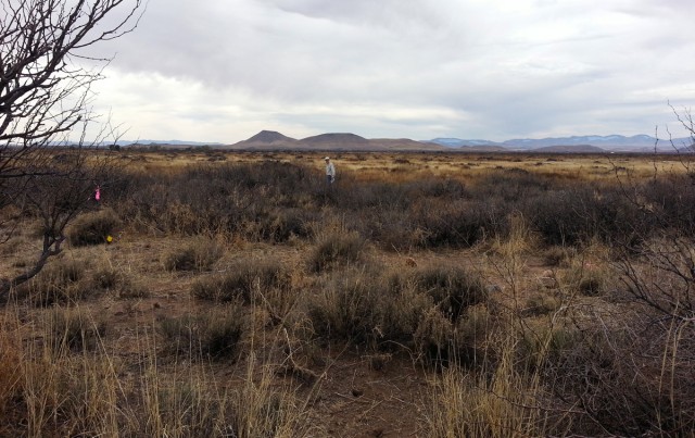 Visiting sites in the Coyote Mountains and the Sulphur Springs Valley with Bill Doelle to prepare for the excavation crews.