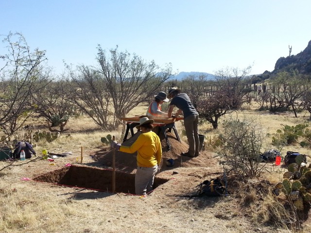 Working a 1 x 2 m excavation unit. Photo by Lewis Borck. Click to enlarge.