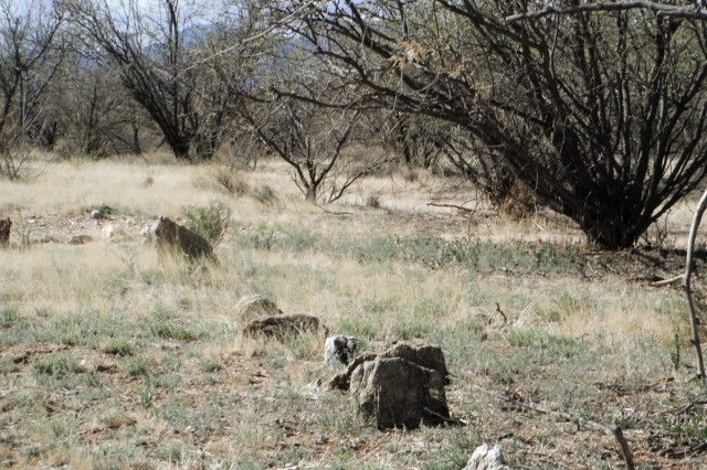 Note the two linear arrangement of rocks forming a corner, which is the footing for an adobe wall that has eroded away. Photo by Steve Cox.