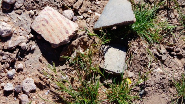 Pottery sherds a few hundred yards from the Members’ Gathering.