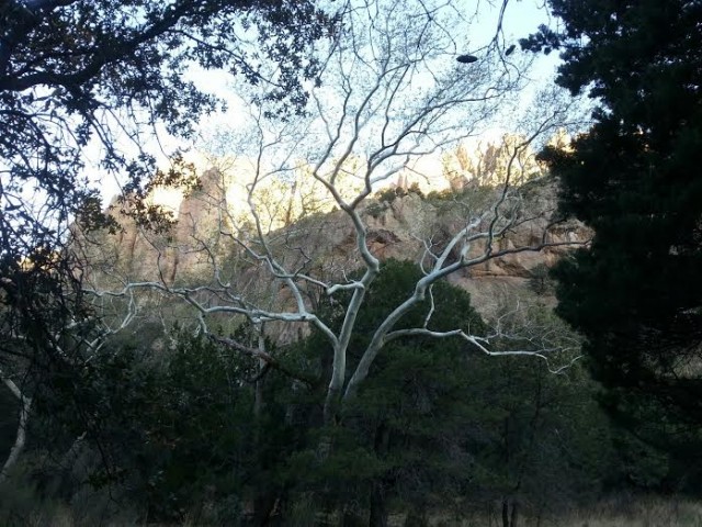 The not-so-shabby view from my tent last weekend.