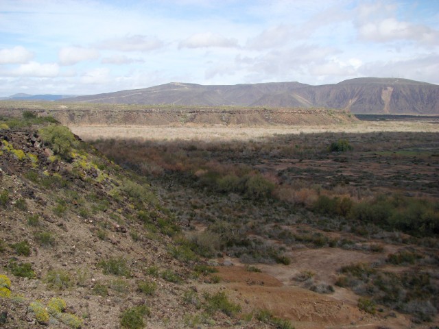 The Gila River valley, southwestern Arizona.