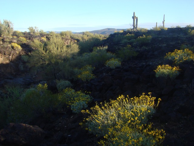 The canyon our ancestor traversed along the Southern Emigrant Trail from Texas to California, looking north.