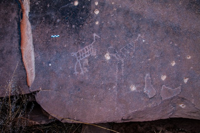 Palavayu Linear Style Birds