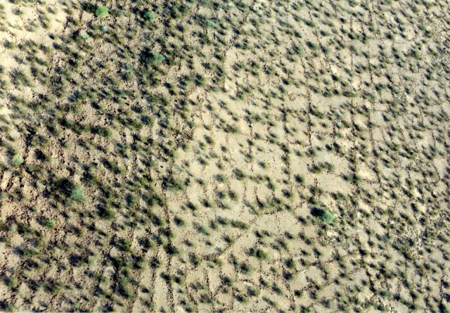 <strong>Figure 3:</strong> Aerial photograph of a portion of the rock-bordered grid fields with rockpiles and checkdams that cover the first terrace north of the Gila River in the vicinity of Pima. The steeper slope shown in the left portion of the photo has contour terraces that have been divided into grids. Click to enlarge.