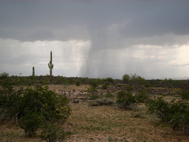 Desert rains.