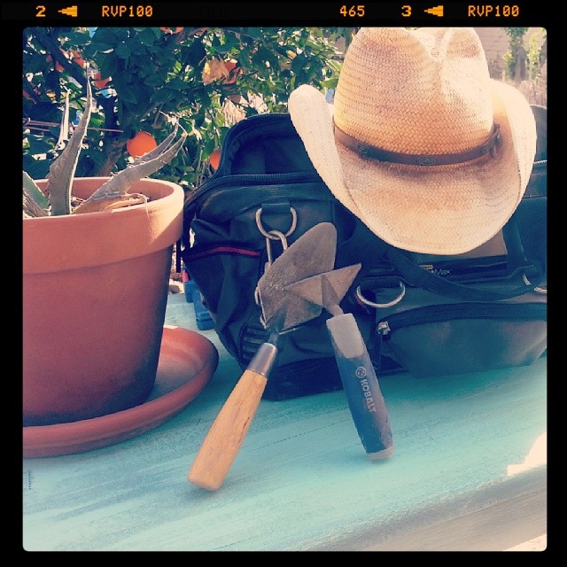 Still Life with Trowels